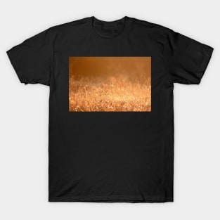 Golden grass field in the summer mountain photography T-Shirt